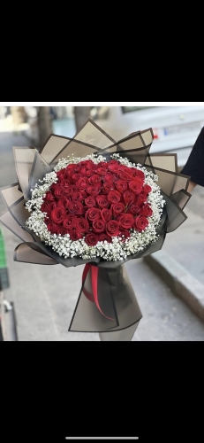 Güllerin Ruyası